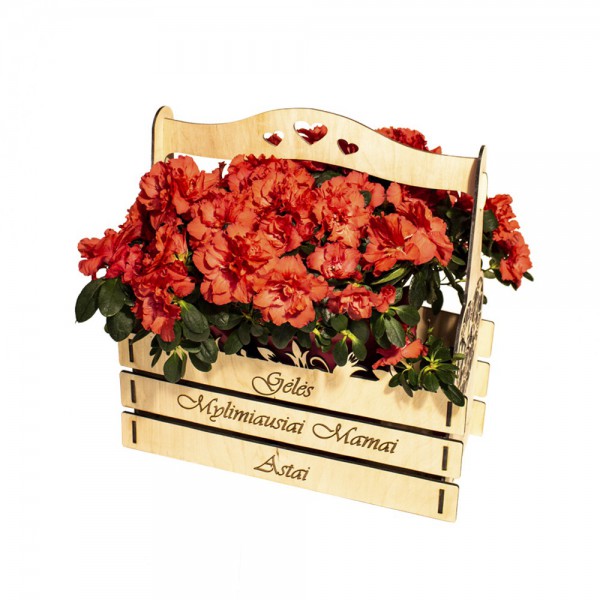 Gėlių krepšelis "Gėlės Mylimiausiai Mamai + Vardas"